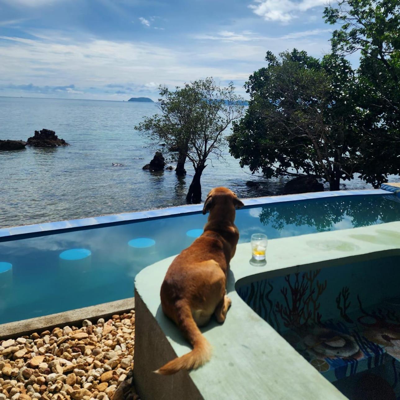 Cocovana Beach Resort (Adults Only) Busuanga Ngoại thất bức ảnh